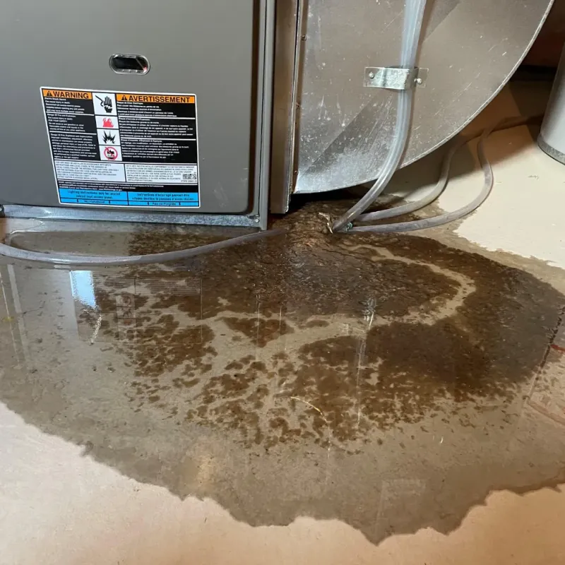 Appliance Leak Cleanup in Saxapahaw, NC